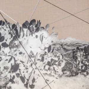 Alejandro Pintado | CONEXIONES EN FLUJO