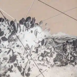 Alejandro Pintado | Conexiones en flujo