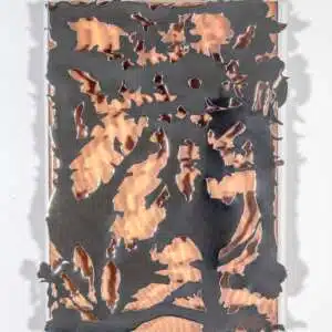 Andrea Carrillo | Espejismo todo Terreno