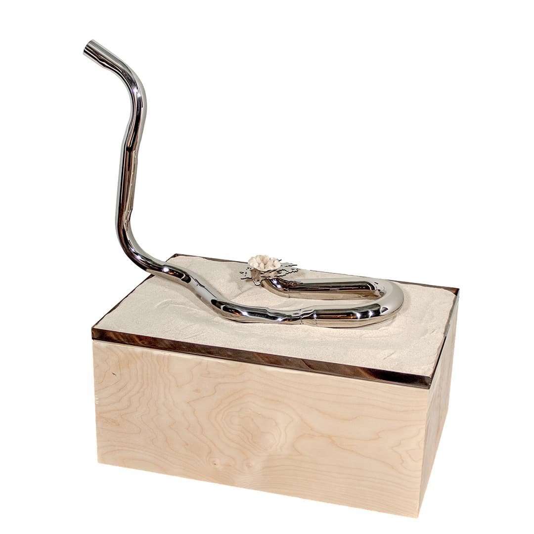 Andrea Carrillo | Flickering trophies VI