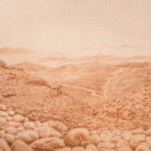 Carlos Vielma | Mexicali