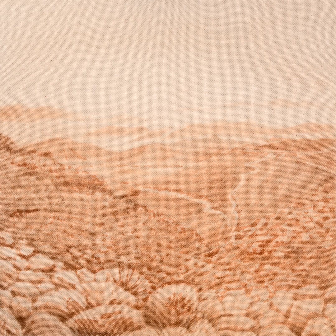 Carlos Vielma | Mexicali