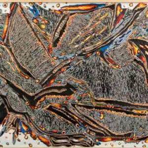 Eva Malhotra | The Whale of Genji Serie: SOÑANDO EN JAPONÉS