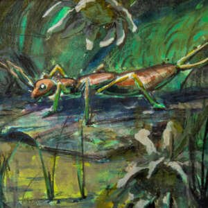 Eddy Johnny | Mirar hacia lo nimio