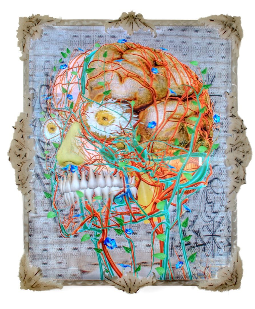 Einar y Jamex De La Torre | Transdifferentiation 3